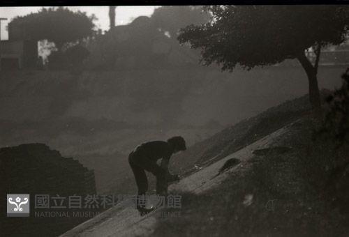 1950至2006年台灣常民生活藏品圖，第1張