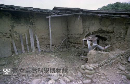 1950至2006年臺灣常民生活藏品圖，第1張