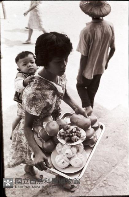 1950至2006年臺灣常民生活藏品圖，第1張