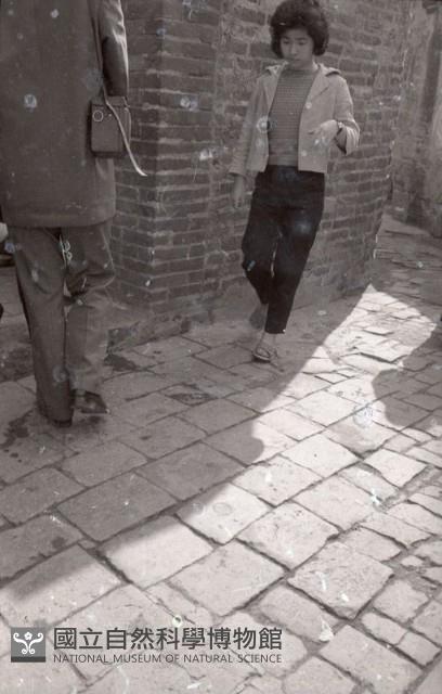 1950至2006年臺灣常民生活藏品圖，第1張