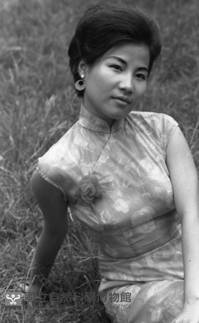 1950至2006年臺灣常民生活藏品圖，第1張