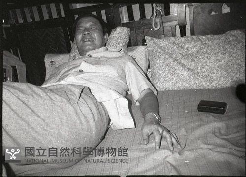 1950至2006年臺灣常民生活藏品圖，第1張