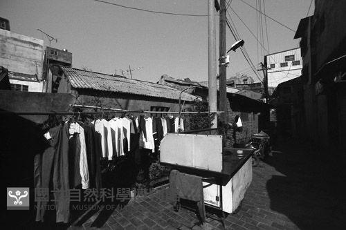 1950至2006年臺灣常民生活藏品圖，第1張