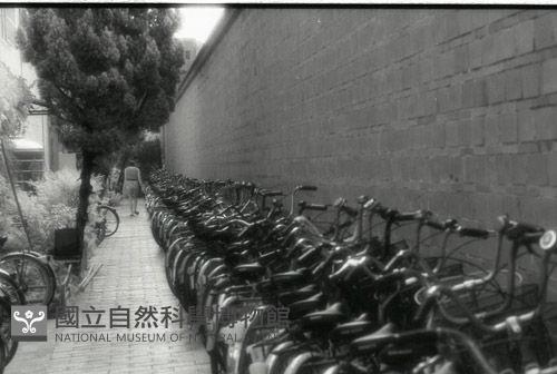 1950至2006年臺灣常民生活藏品圖，第1張