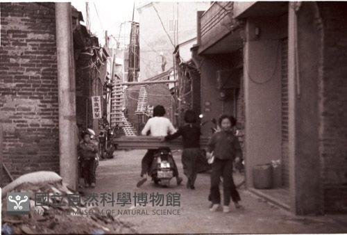 1950至2006年臺灣常民生活藏品圖，第1張