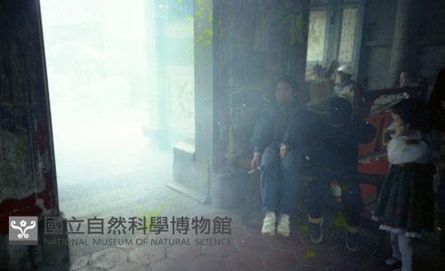 1950至2006年臺灣常民生活藏品圖，第1張