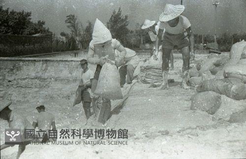 1950至2006年臺灣常民生活藏品圖，第1張