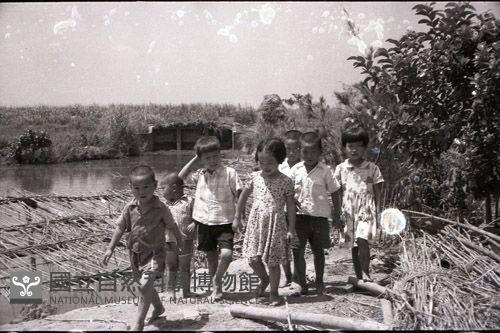 1950至2006年臺灣常民生活藏品圖，第1張