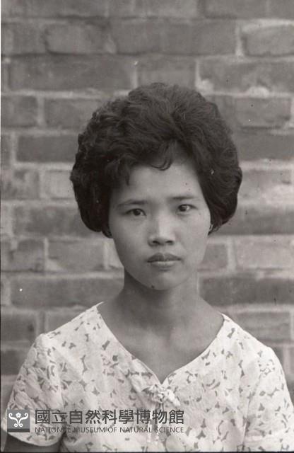 1950至2006年臺灣常民生活藏品圖，第1張