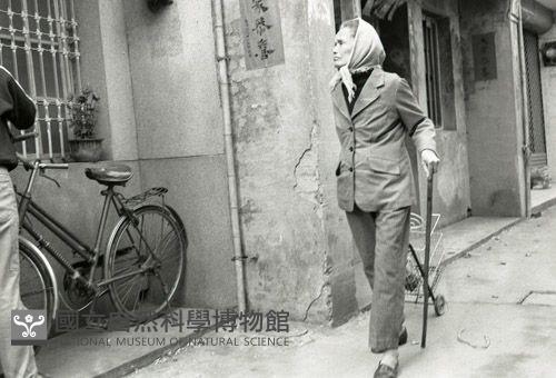 1950至2006年台灣常民生活藏品圖，第1張