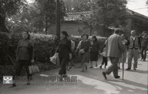 1950至2006年臺灣常民生活藏品圖，第1張