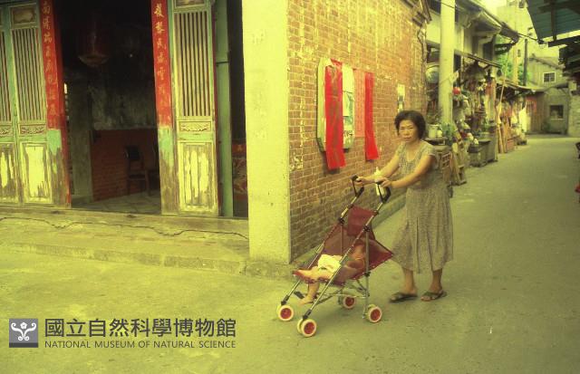 1950至2006年臺灣常民生活藏品圖，第1張