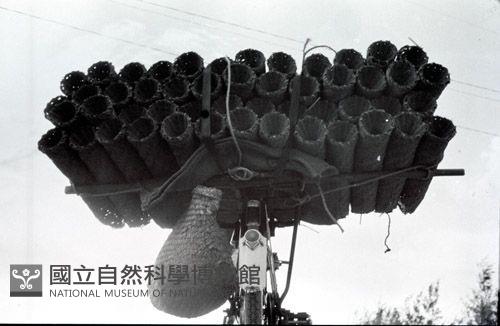 1950至2006年臺灣常民生活藏品圖，第1張