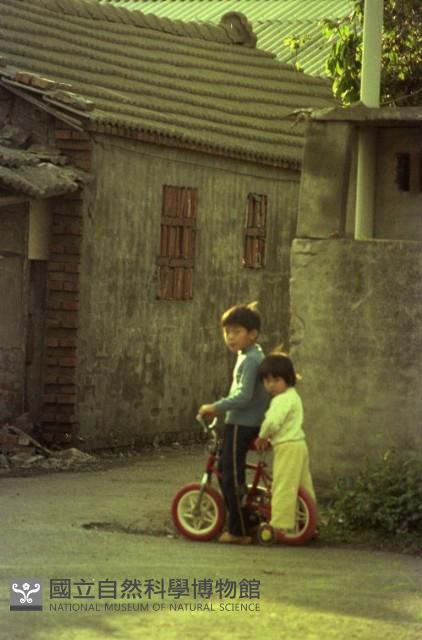 1950至2006年臺灣常民生活藏品圖，第1張
