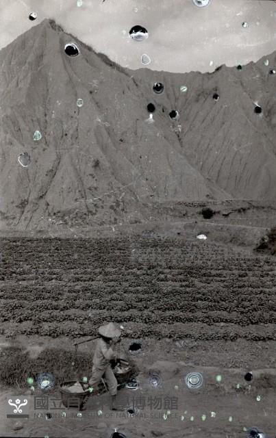 1950至2006年臺灣常民生活藏品圖，第1張