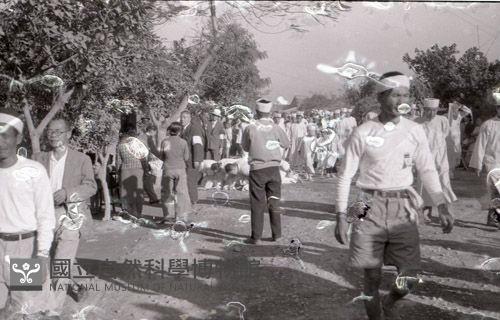 1950至2006年臺灣常民生活藏品圖，第1張