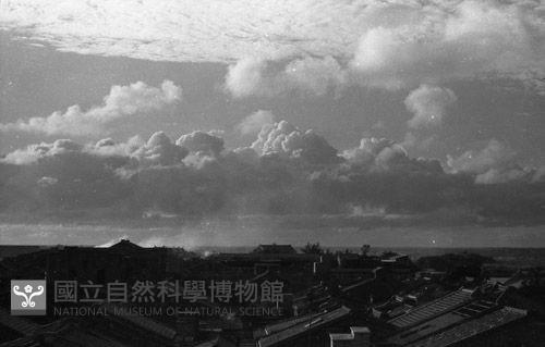 Accession Number:MP2007007087 Collection Image