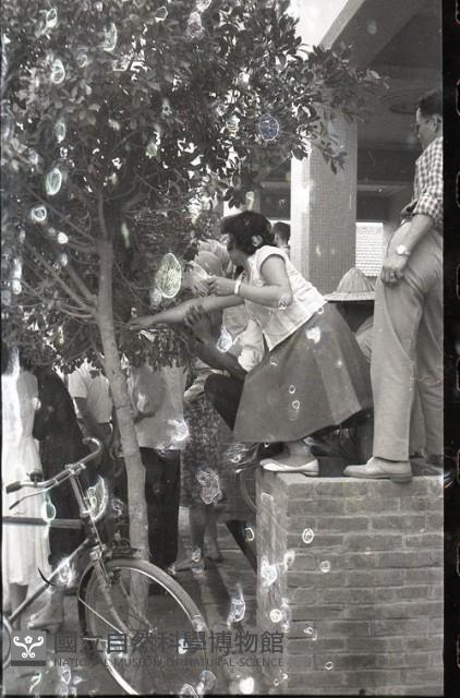 1950至2006年臺灣常民生活藏品圖，第1張