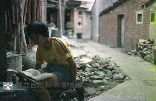 1950至2006年臺灣常民生活藏品圖，第1張