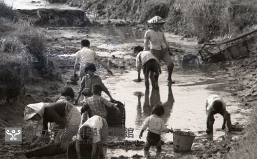 1950至2006年臺灣常民生活藏品圖，第1張