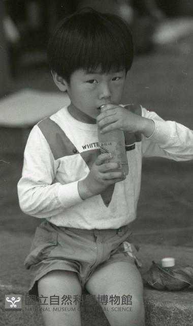 1950至2006年臺灣常民生活藏品圖，第1張