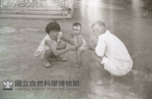 1950至2006年臺灣常民生活藏品圖，第1張