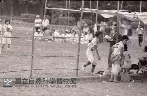 1950至2006年臺灣常民生活藏品圖，第1張