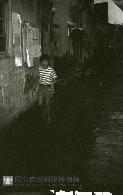 1950至2006年臺灣常民生活藏品圖，第1張