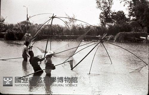 1950至2006年臺灣常民生活藏品圖，第1張