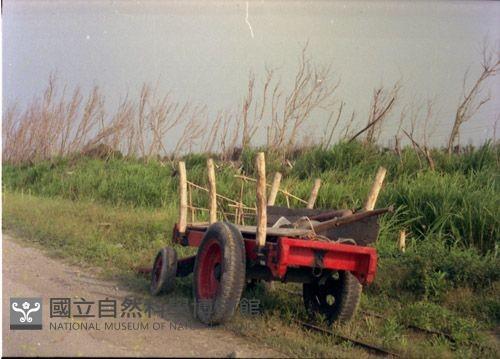 1950至2006年臺灣常民生活藏品圖，第1張