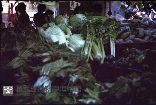 1950至2006年臺灣常民生活藏品圖，第1張