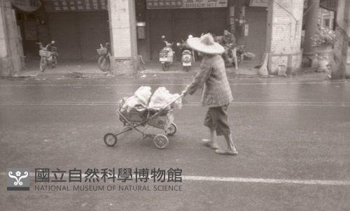 1950至2006年臺灣常民生活藏品圖，第1張