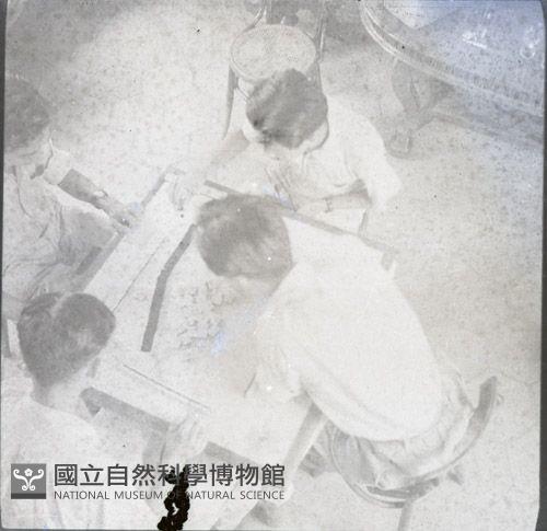 1950至2006年臺灣常民生活藏品圖，第1張