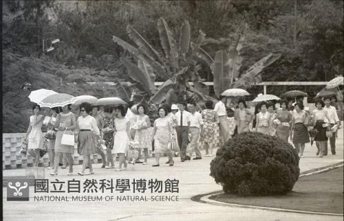 1950至2006年臺灣常民生活藏品圖，第1張