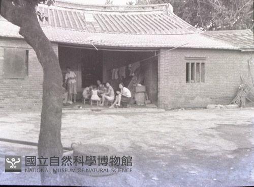 1950至2006年臺灣常民生活藏品圖，第1張