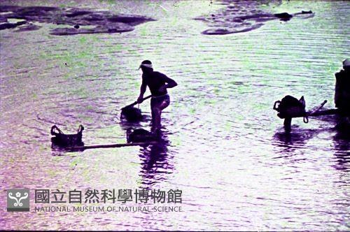 1950至2006年臺灣常民生活藏品圖，第1張