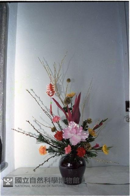 1950至2006年臺灣常民生活藏品圖，第1張