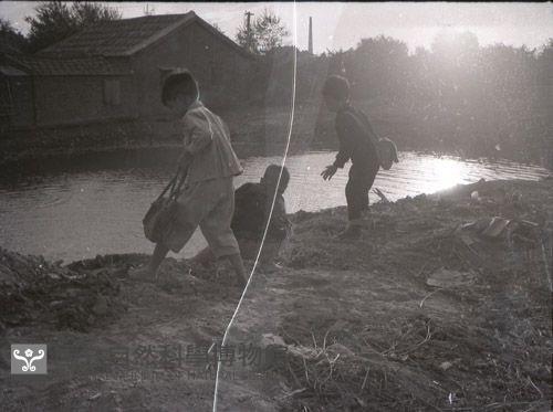 1950至2006年台灣常民生活藏品圖，第1張