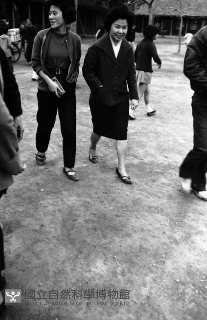 1950至2006年臺灣常民生活藏品圖，第1張
