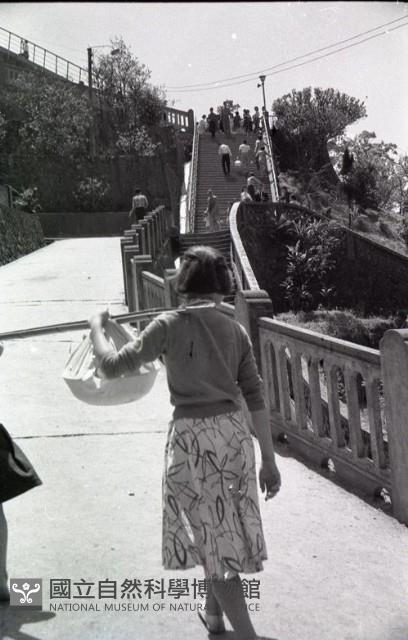 1950至2006年臺灣常民生活藏品圖，第1張