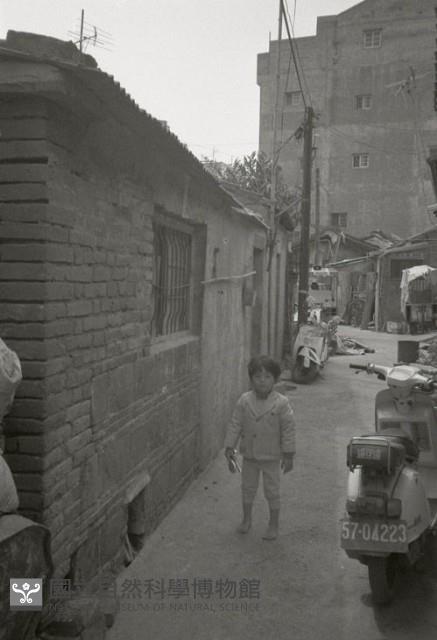 1950至2006年臺灣常民生活藏品圖，第1張