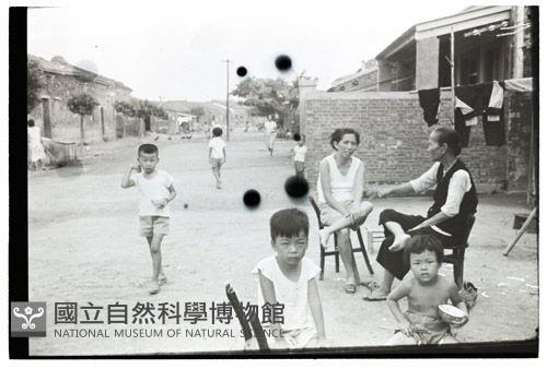 1950至2006年臺灣常民生活藏品圖，第1張