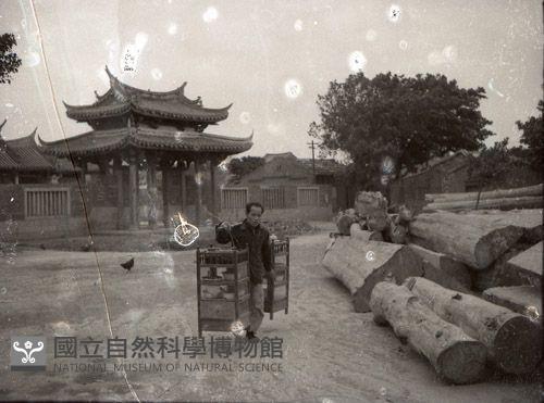 1950至2006年臺灣常民生活藏品圖，第1張