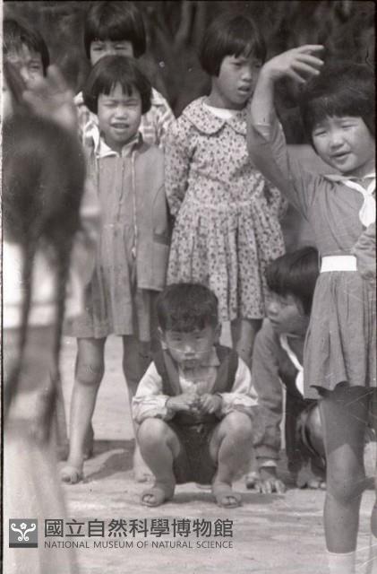 1950至2006年臺灣常民生活藏品圖，第1張