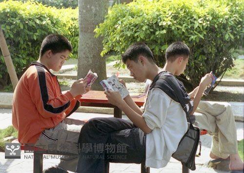 1950至2006年臺灣常民生活藏品圖，第1張