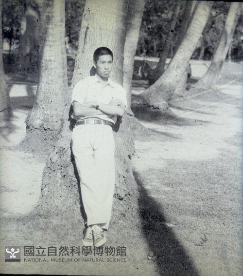 1950至2006年臺灣常民生活藏品圖，第1張