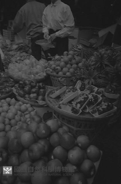 1950至2006年臺灣常民生活藏品圖，第1張