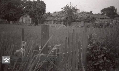 1950至2006年臺灣常民生活藏品圖，第1張