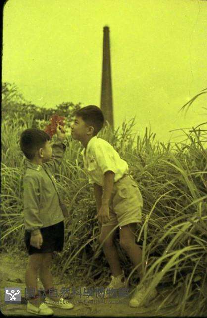 1950至2006年臺灣常民生活藏品圖，第1張