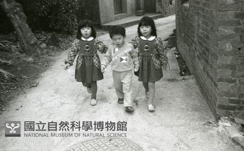 1950至2006年臺灣常民生活藏品圖，第1張